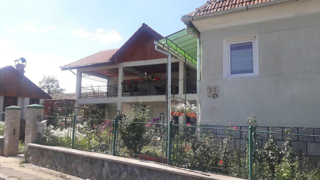 Maison d'hôtes Casa Maria Retezat à Nucsoara  Extérieur photo